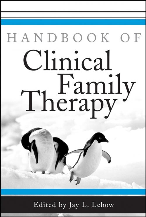 Cover of the book Handbook of Clinical Family Therapy by , Wiley
