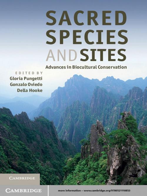 Cover of the book Sacred Species and Sites by , Cambridge University Press
