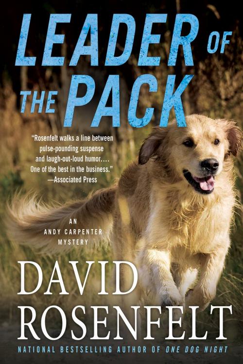 Cover of the book Leader of the Pack by David Rosenfelt, St. Martin's Press