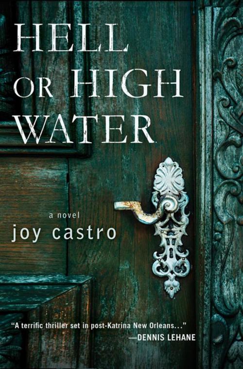 Cover of the book Hell or High Water by Joy Castro, St. Martin's Press