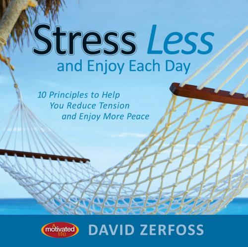 Cover of the book Stress Less and Enjoy Each Day by Thomas Nelson, Thomas Nelson