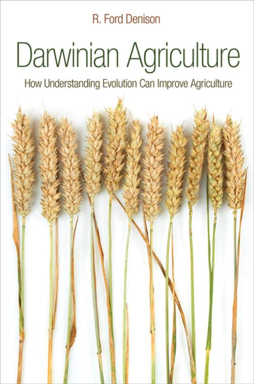 Cover of the book Darwinian Agriculture by R. Ford Denison, Princeton University Press