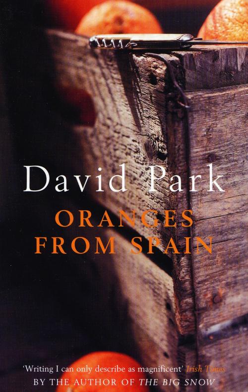Cover of the book Oranges From Spain by David Park, Bloomsbury Publishing