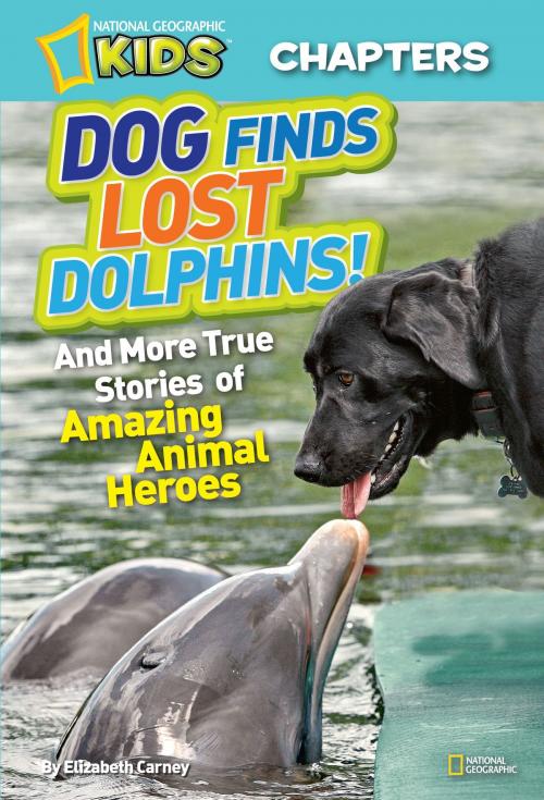 Cover of the book National Geographic Kids Chapters: Dog Finds Lost Dolphins by Elizabeth Carney, National Geographic Society