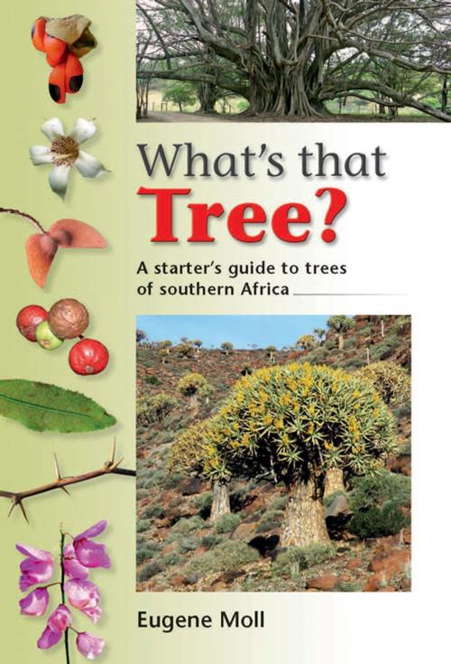 Cover of the book What's that Tree? by Eugene Moll, Penguin Random House South Africa