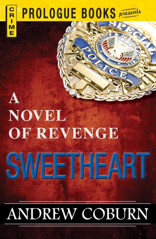 Cover of the book Sweetheart by Andrew Coburn, Adams Media