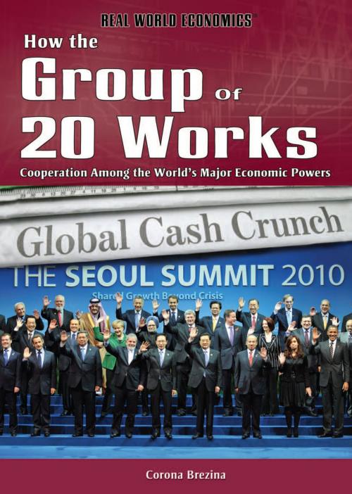Cover of the book How the Group of 20 Works by Corona Brezina, The Rosen Publishing Group, Inc