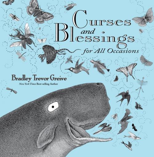 Cover of the book Curses and Blessings for All Occasions by Bradley Trevor Greive, Andrews McMeel Publishing