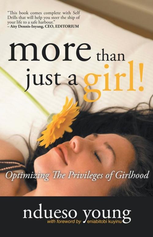 Cover of the book More Than Just a Girl! by Ndueso Young, WestBow Press