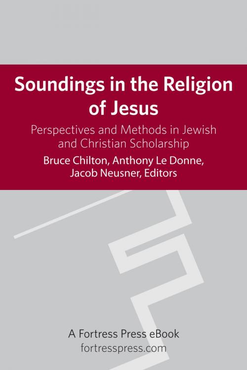 Cover of the book Soundings in the Religion of Jesus by , Fortress Press