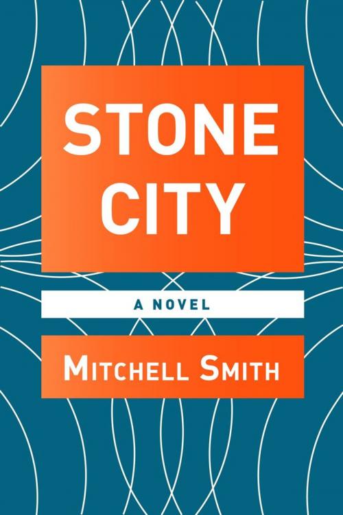 Cover of the book Stone City by Mitchell Smith, Simon & Schuster
