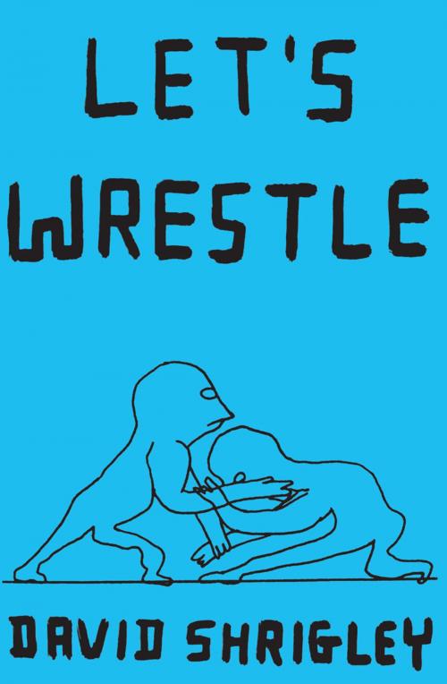 Cover of the book Let's Wrestle by David Shrigley, Chronicle Books LLC
