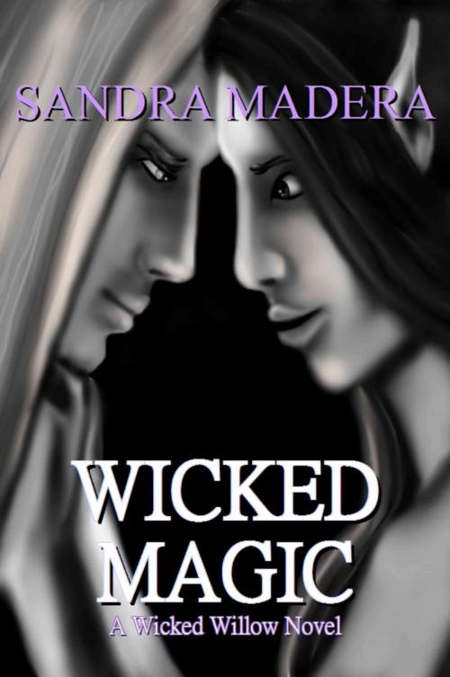 Cover of the book Wicked Magic by Sandra Madera, Sandra Madera