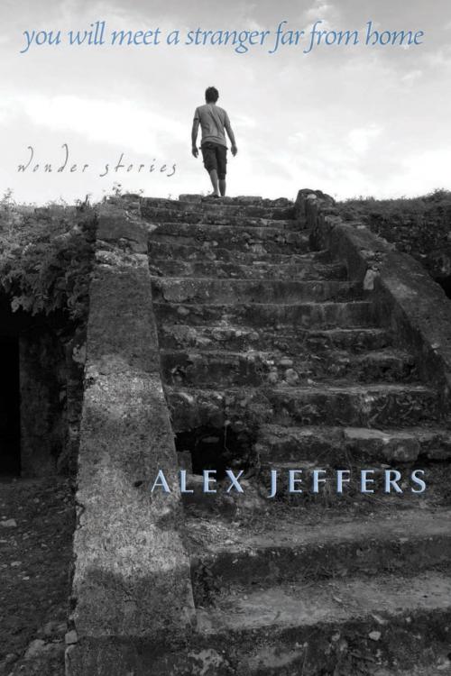 Cover of the book You Will Meet a Stranger Far from Home: wonder stories by Alex Jeffers, Lethe Press