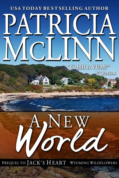 Cover of the book A New World by Patricia McLinn, Craig Place Books