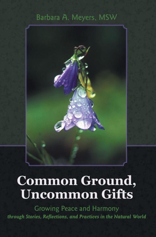 Cover of the book Common Ground, Uncommon Gifts by Barbara A. Meyers, Balboa Press