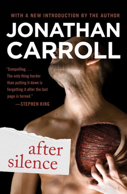 Cover of the book After Silence by Jonathan Carroll, Open Road Media