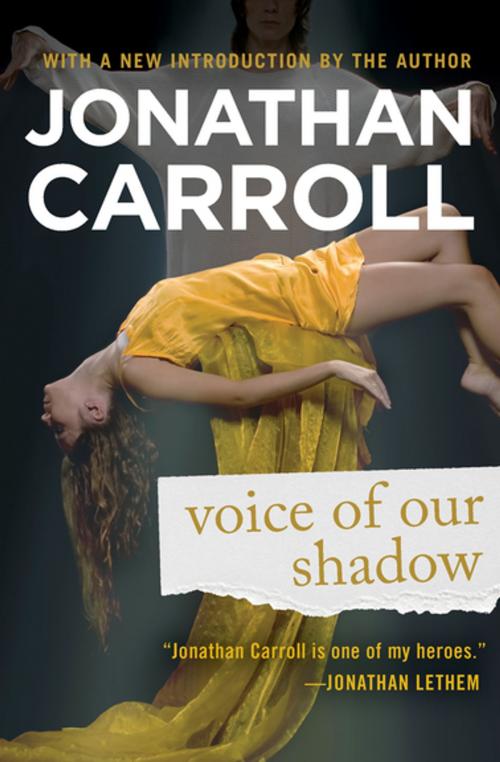 Cover of the book Voice of Our Shadow by Jonathan Carroll, Open Road Media