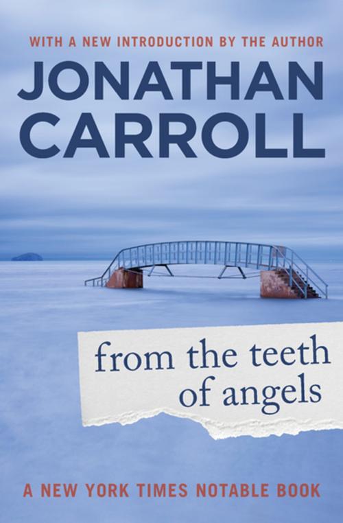 Cover of the book From the Teeth of Angels by Jonathan Carroll, Open Road
