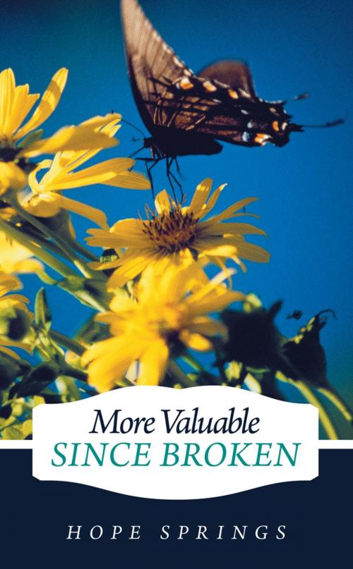 Cover of the book More Valuable Since Broken by Hope Springs, Inspiring Voices