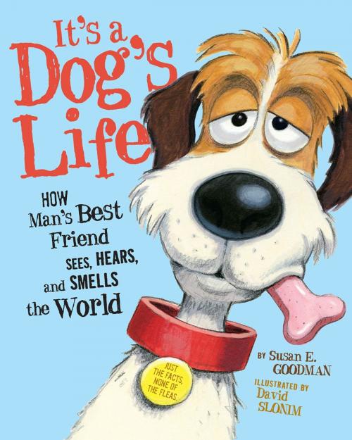 Cover of the book It's a Dog's Life by Susan E. Goodman, Roaring Brook Press
