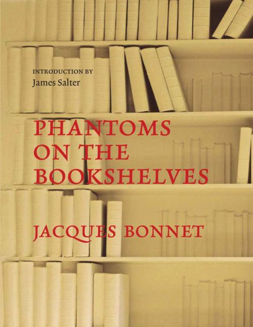 Cover of the book Phantoms on the Bookshelves by Jacques Bonnet, ABRAMS