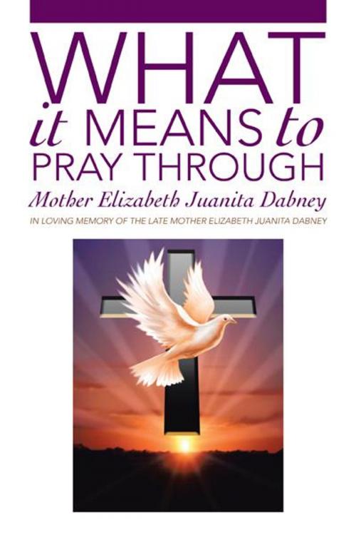 Cover of the book What It Means to Pray Through by Mother Elizabeth Juanita Dabney, iUniverse