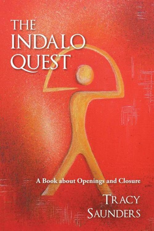 Cover of the book The Indalo Quest by Tracy Saunders, iUniverse
