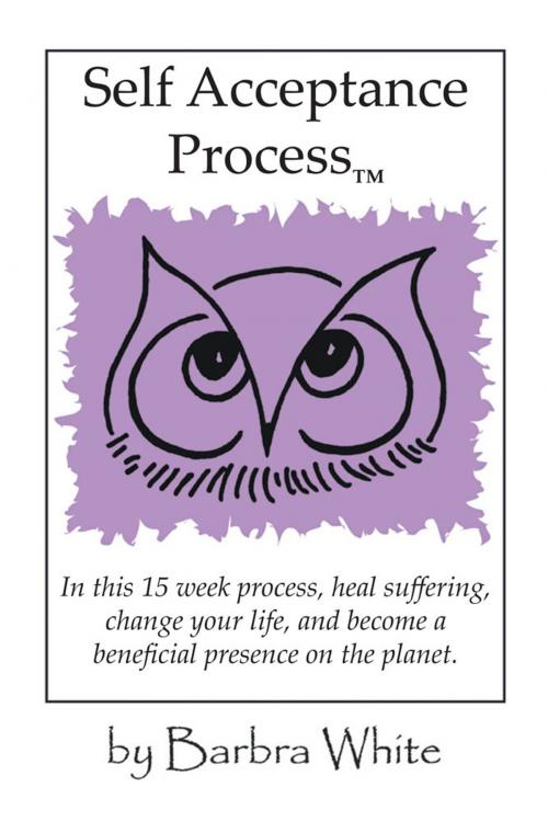 Cover of the book Self Acceptance Process™ by Barbra White, iUniverse