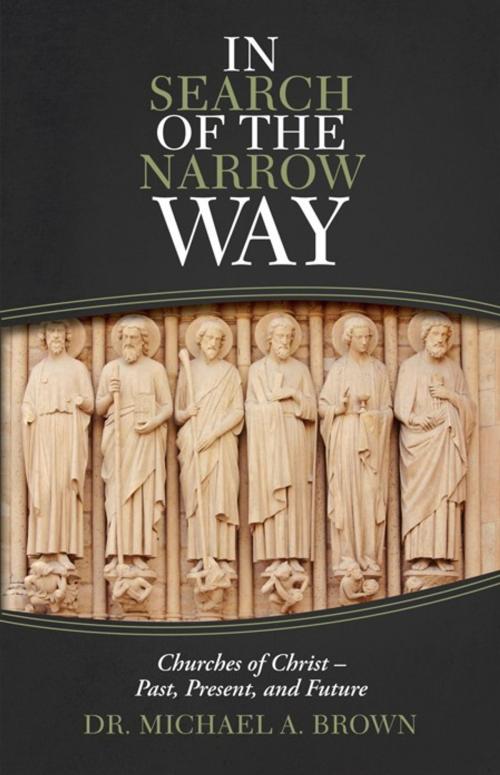 Cover of the book In Search of the Narrow Way by Dr. Michael A. Brown, iUniverse