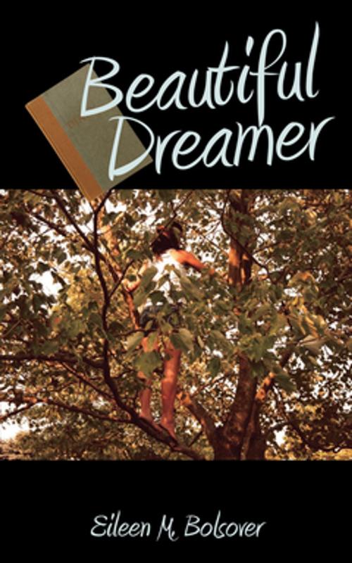 Cover of the book Beautiful Dreamer by Eileen M. Bolsover, iUniverse