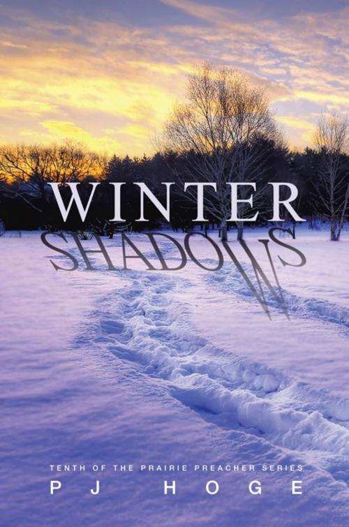Cover of the book Winter Shadows by P J Hoge, iUniverse