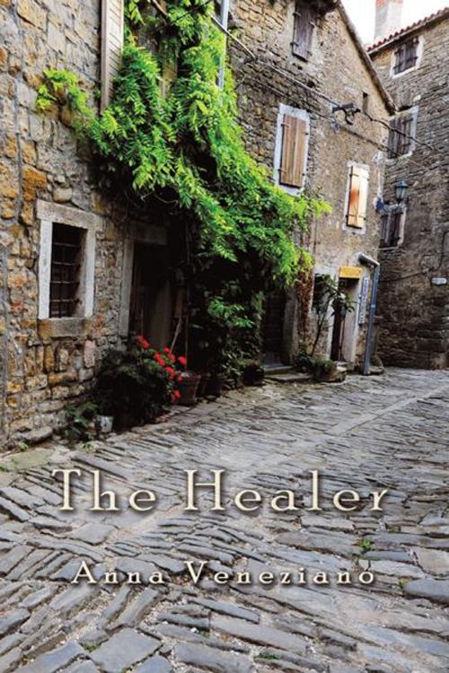 Cover of the book The Healer by Anna Veneziano, iUniverse