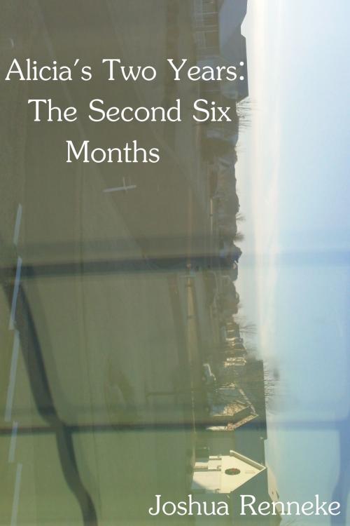 Cover of the book Alicia's Two Years: The Second Six Months by Joshua Renneke, Joshua Renneke