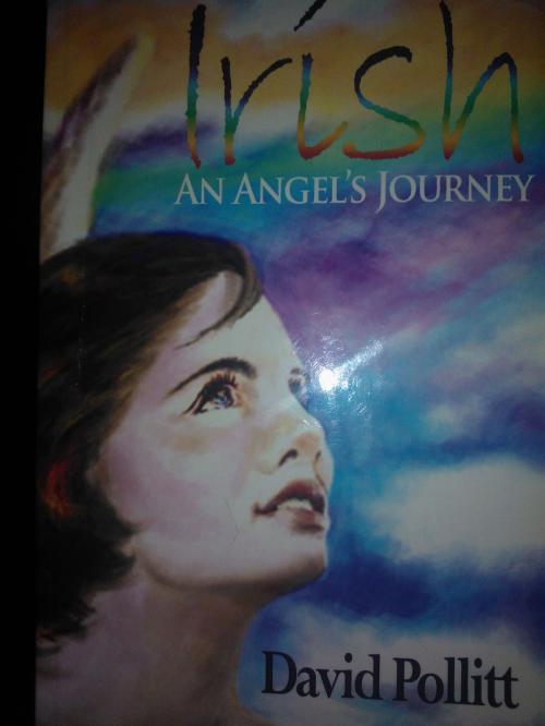 Cover of the book Irish: An Angel's Journey by David Pollitt, David Pollitt