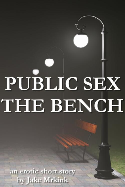 Cover of the book Public Sex: the Bench by Jake Mrkink, Jake Mrkink