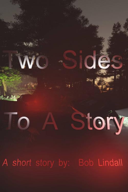 Cover of the book Two Sides to A Story by Bob Lindall, Bob Lindall