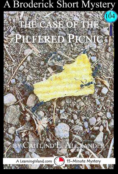 Cover of the book The Case of the Pilfered Picnic: A 15-Minute Broderick Mystery by Caitlind L. Alexander, LearningIsland.com