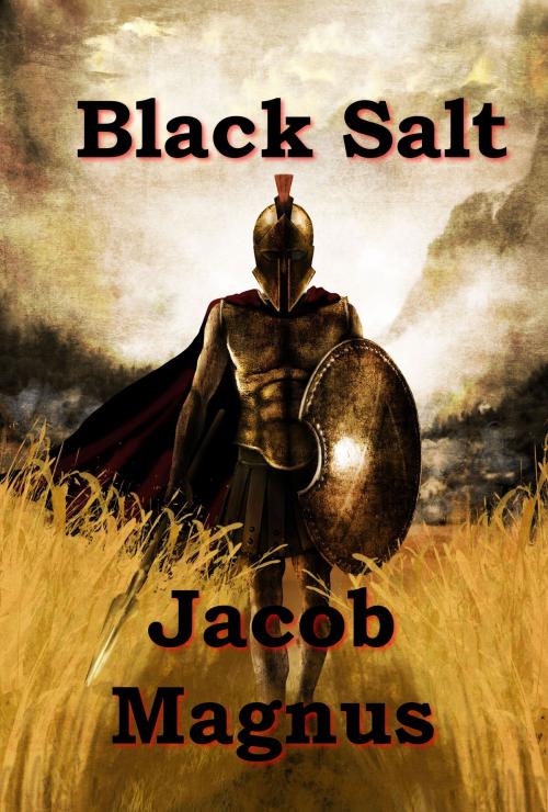 Cover of the book Black Salt by Jacob Magnus, Jacob Magnus