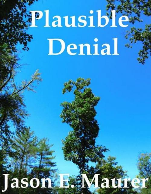 Cover of the book Plausible Denial by Jason Maurer, Jason Maurer