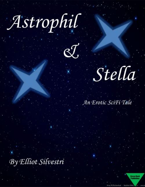 Cover of the book Astrophil & Stella by Elliot Silvestri, Elliot Silvestri