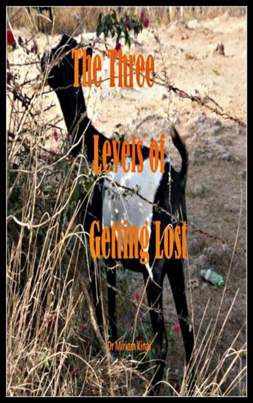 Cover of the book The Three Levels of Getting Lost by Miriam Kinai, Miriam Kinai