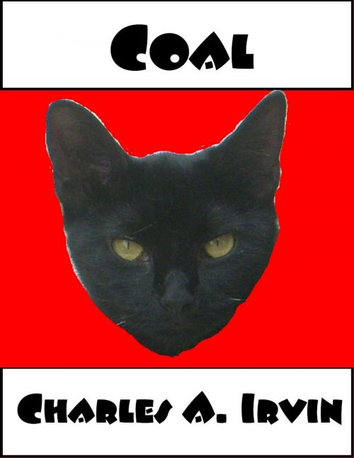 Cover of the book Coal by Charles A. Irvin, Mossy Feet Books