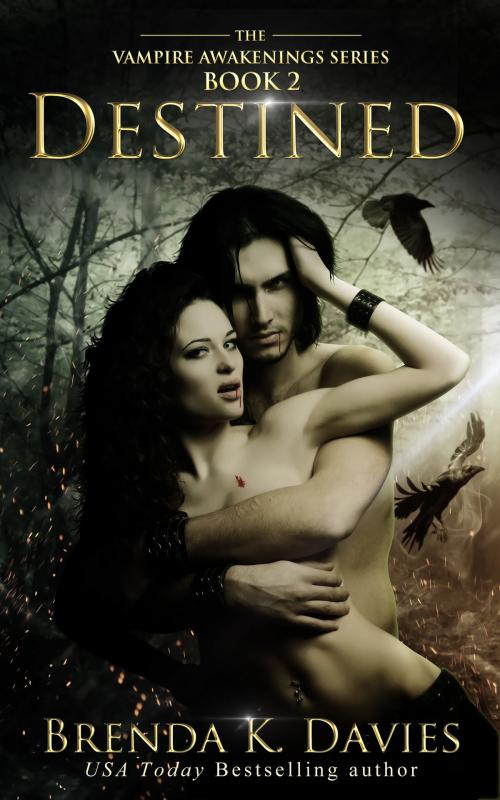 Cover of the book Destined (Vampire Awakenings, Book 2) by Brenda K. Davies, Brenda K. Davies