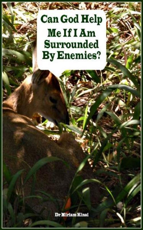 Cover of the book Can God Help Me If I Am Surrounded By Enemies? by Miriam Kinai, Miriam Kinai