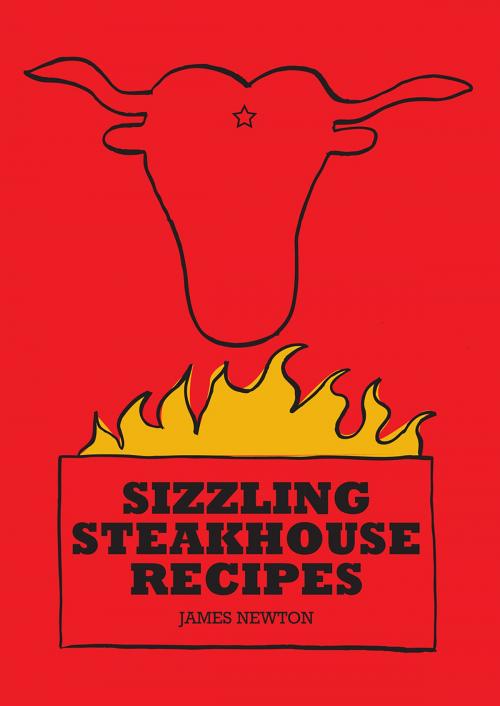 Cover of the book Steak Cookbook: Sizzling Steakhouse Recipes by James Newton, Springwood Emedia