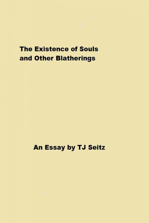 Cover of the book The Existence of Souls and Other Blatherings by TJ Seitz, TJ Seitz