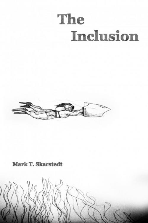 Cover of the book The Inclusion by Mark T. Skarstedt, Mark T. Skarstedt