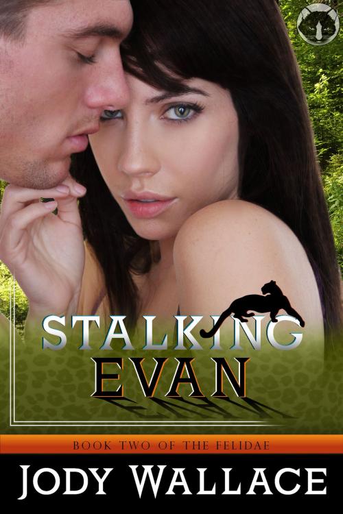 Cover of the book Stalking Evan by Jody Wallace, Meankitty Publishing