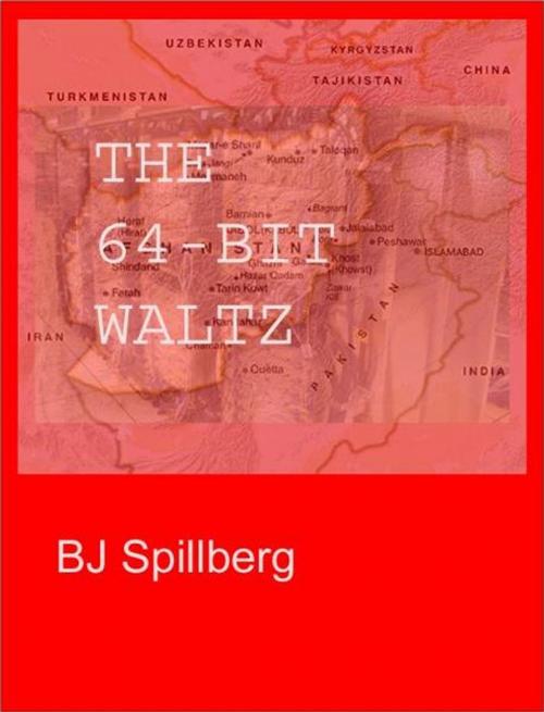 Cover of the book The 64-Bit Waltz by Barry Spillberg, Barry Spillberg